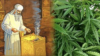 Marijuana In The Bible: Kanehbosm, Sweet Cane & The Holy Anointing Oil!
