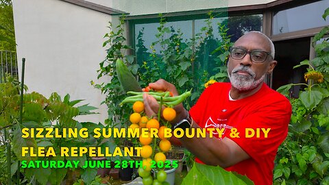 Sizzling Summer Bounty & DIY Flea Repellant