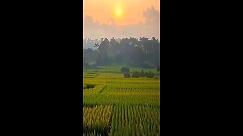 "People's taxes are lost, but the officials are full."