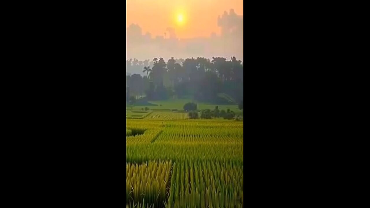 "People's taxes are lost, but the officials are full."