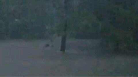 Hurricane Harvey Flood Waters - 10' Deep - Amazing that my "back yard" turned into a raging river!