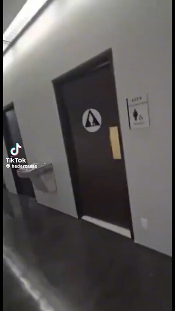 Ice arrest woman who went to hide in toilet