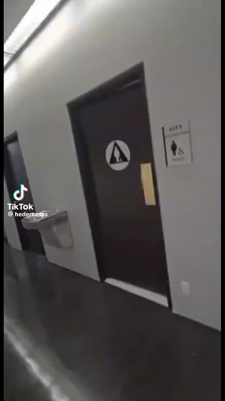 Ice arrest woman who went to hide in toilet