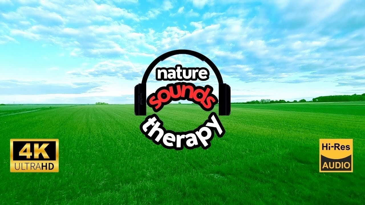 Nature Without Civilization ; Field and Birdsong