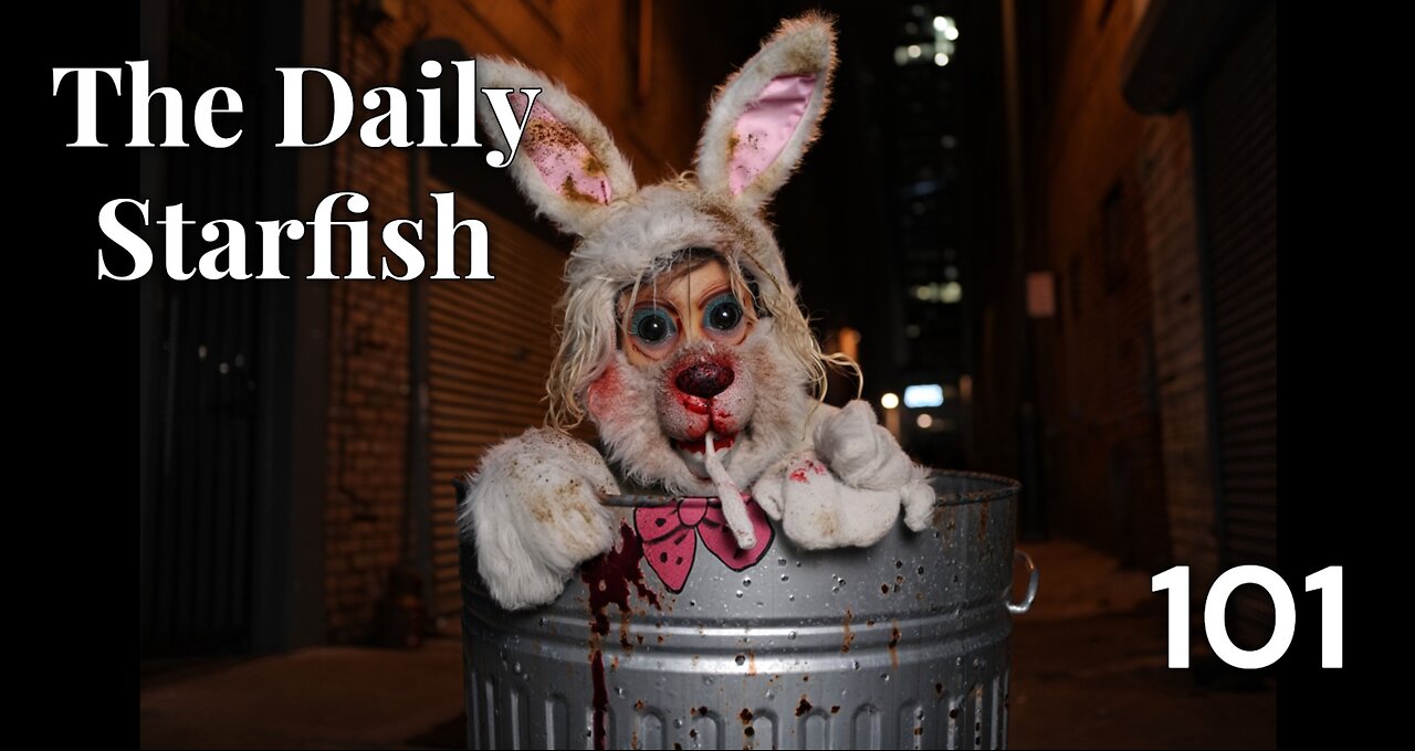 The Daily Starfish #101 #2025 #news #funny