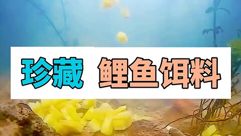 Public collection of secret bait recipes, attached: actual test video