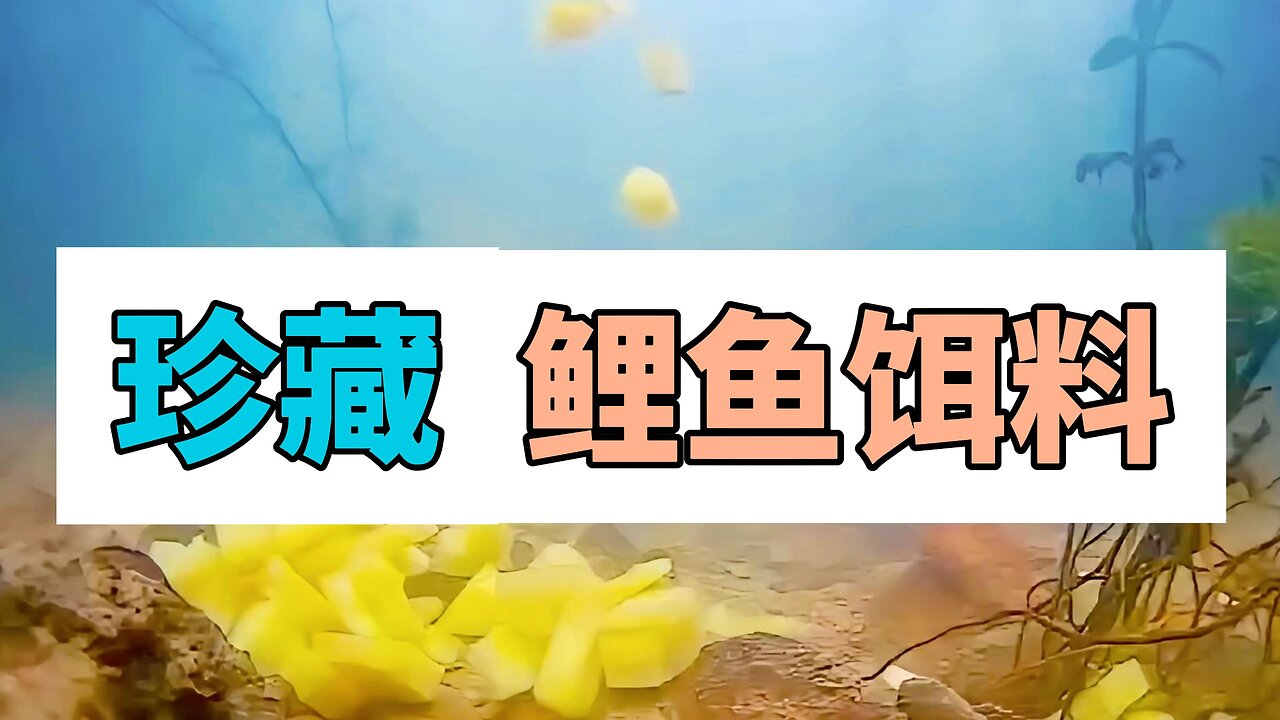 Public collection of secret bait recipes, attached: actual test video