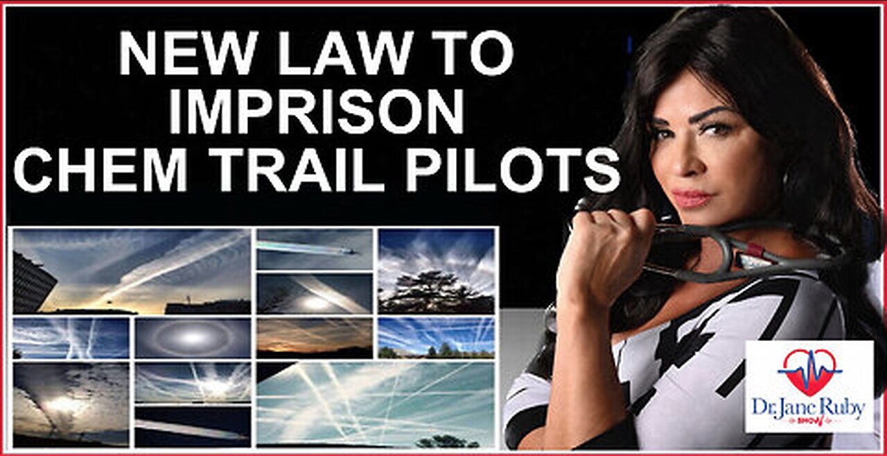 New Florida Law Will IMPRISON and FINE Chem Trail Pilots
