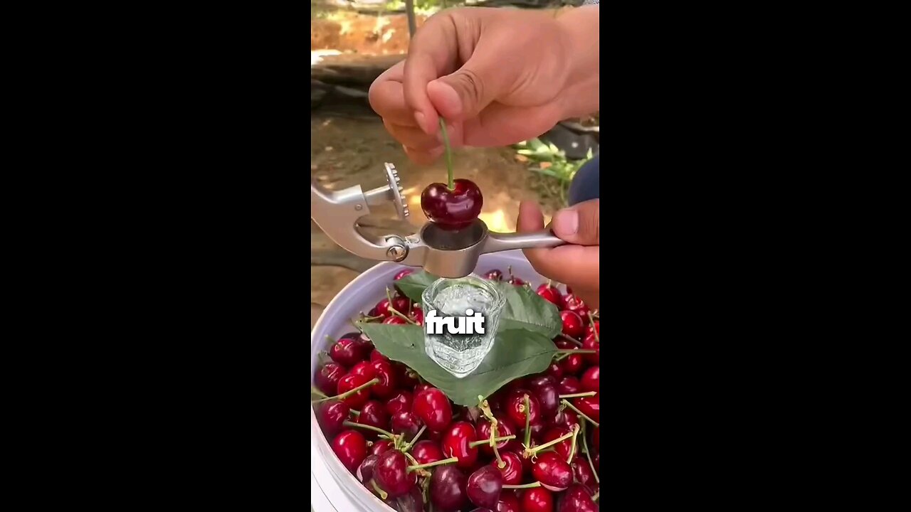 health tips