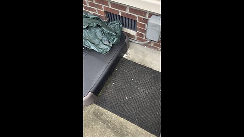 Herping in my back yard