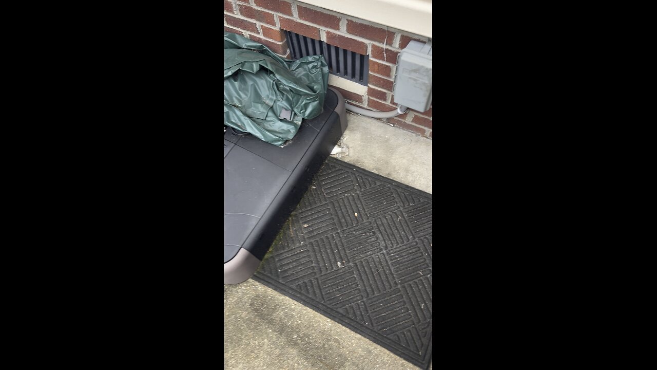 Herping in my back yard