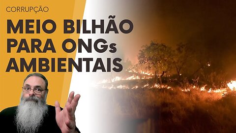 BB pega USD 500 MI do BIRD, com AVAL do GOVERNO, para DAR DINHEIRO para ONGs de MERCADO de CARBONO