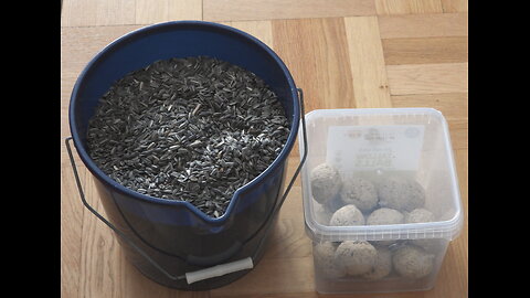 Fåglarna våra , behöver vår hjälp