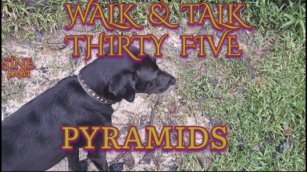WALK & TALK 35 / PYRAMIDS