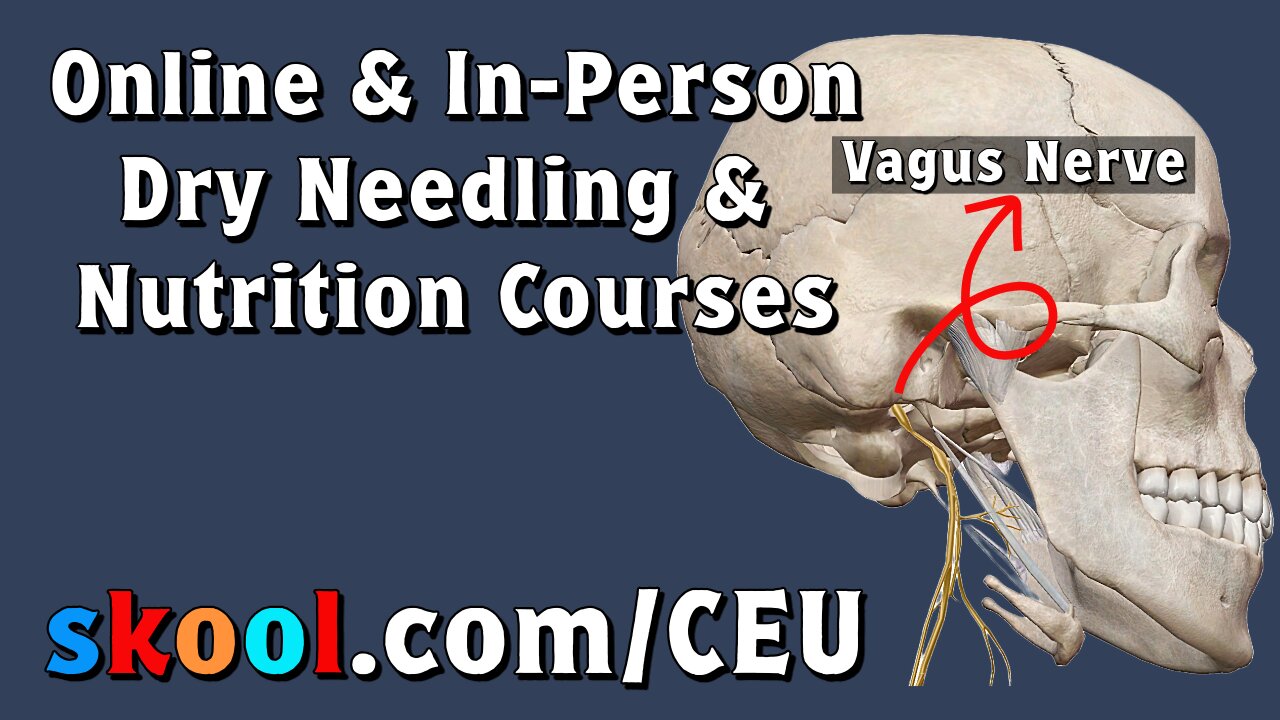 Vagus Nerve Stimulation for Migraine Headache Relief