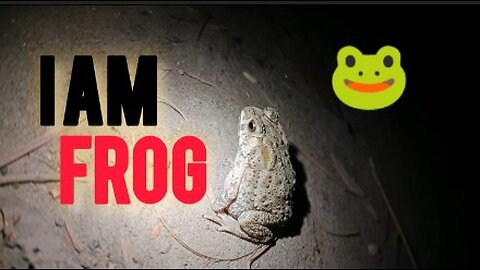 World most beautiful lady frog 🐸?