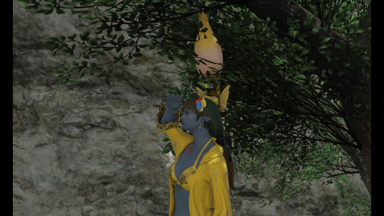 FF14 Treasure Hunting with the Rising Knights! ライジング・ナイトというFCとトレジャーハント！