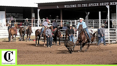 Tie-down Roping Round 1 Part 2🐂 2024 Spicer Gripp Memorial Roping