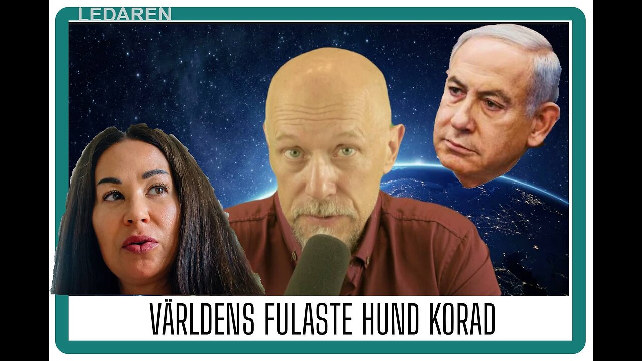Ledaren 79: Världens fulaste hund korad