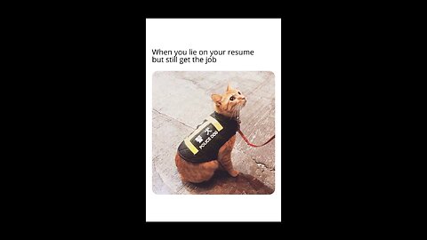 “When Life Gives You Funny Mood | Ultimate Meme Shorts” #FunnyMemes #MemeShorts #ViralVideo