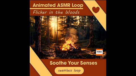 🔥Flicker in the Woods • ASMR Relaxing Calming Tingles Stress Relief Sleep Meditation & Focus Visuals