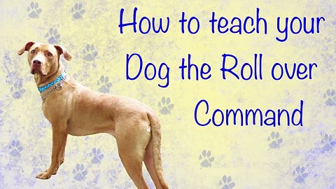 How To Teach Your Dog To Roll Over