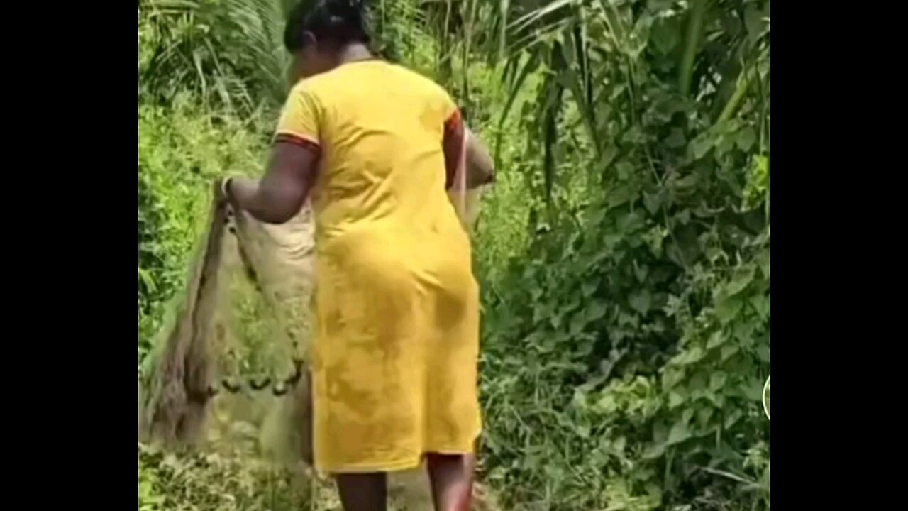 Bau