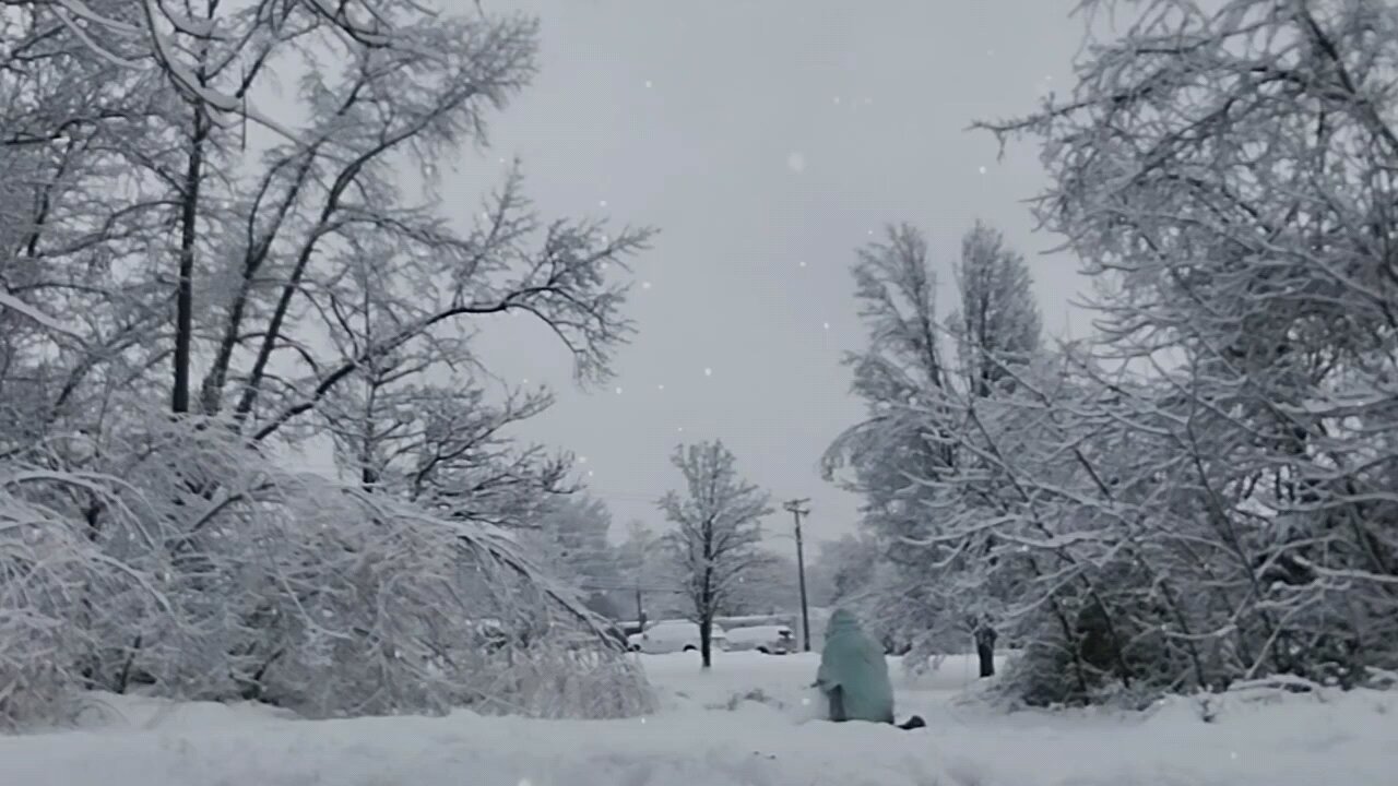 SWEET JONNY destroys a SNOWMAN for science