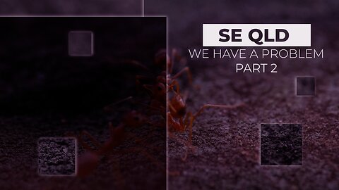 SE QUEENSLAND - WE HAVE A PROBLEM - PART 2