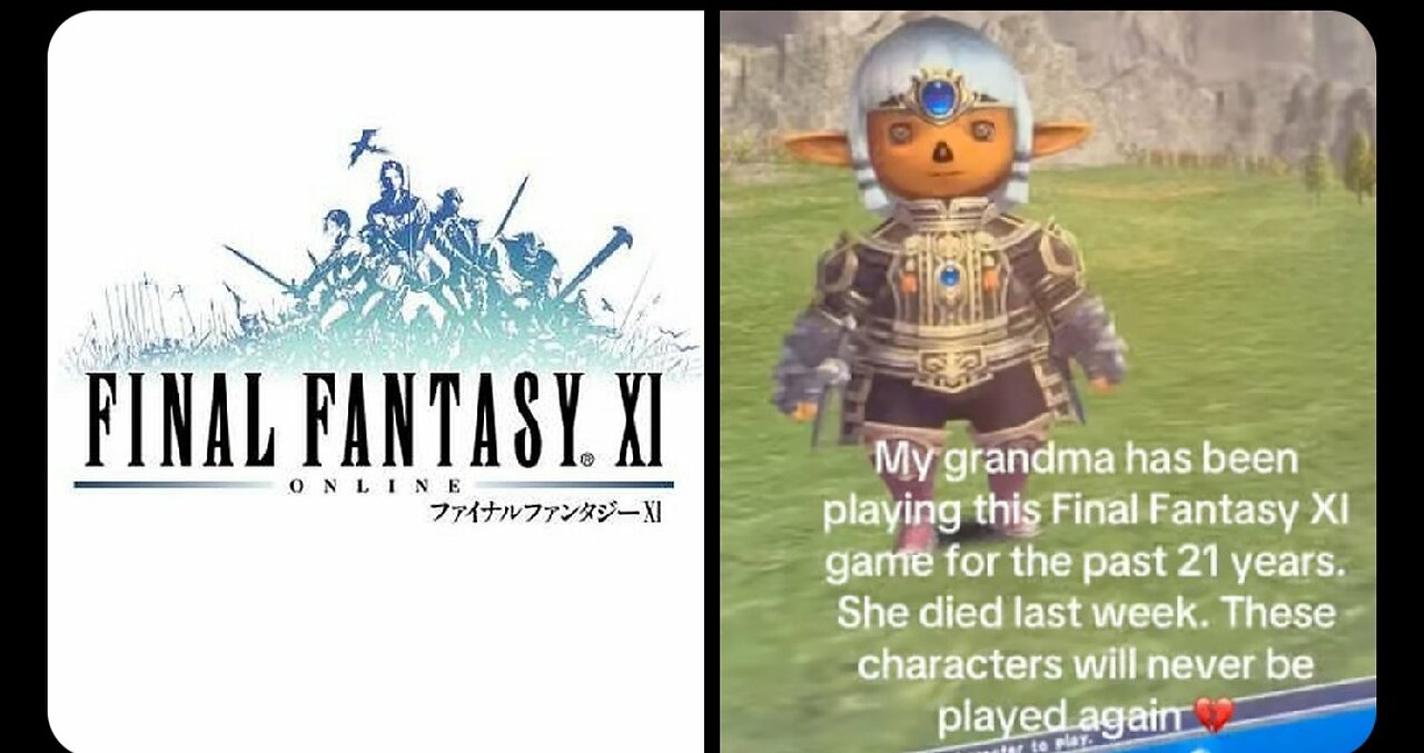 Grandma’s 21 Year Final Fantasy XI Game Went Viral After Her Death