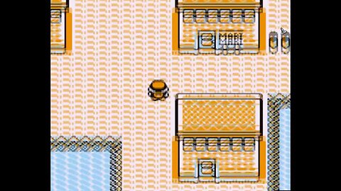 Pokémon Blue - Walkthrough/Videonávod 27 [EN/CZ]