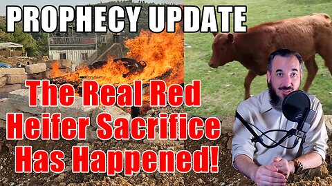 PROPHECY UPDATE The Real Red Heifer Sacrifice Has Happened
