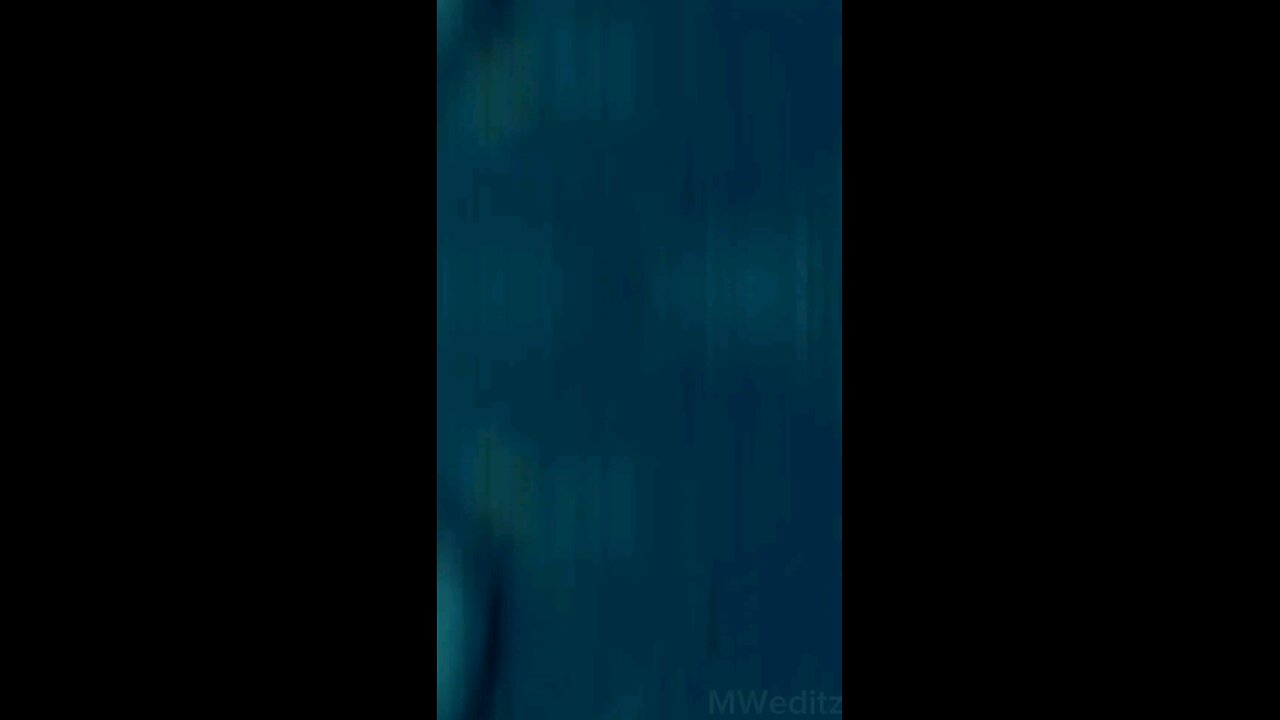 The longest straight line in which you can swim
