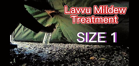 Mildew TREATMENT On My Size 1 LAVVU