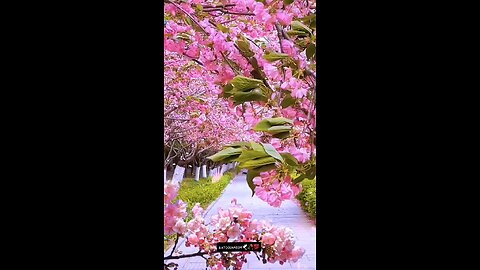 #foryoupage#viralvideo