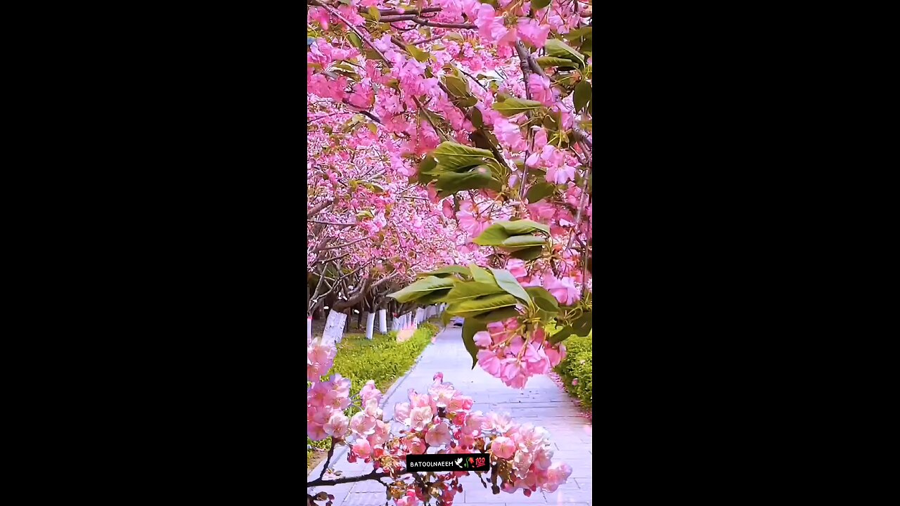 #foryoupage#viralvideo