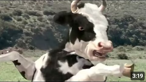 Ya lili Ya lila / Elili elila ( Yalili Remix ) Arabic Remix | lai lai lai kungfu Cow funny fight 2