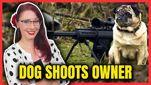 Dog Shoots Owner