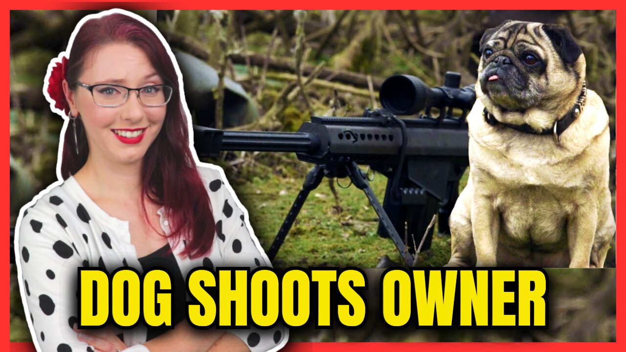 Dog Shoots Owner