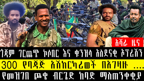 ጎጃም ገርጨጭ ኮሶበር እና ቁንዝላ አስደናቂ ኦፕሬሽን/300 የባጃጅ አሽከርካሪወች በአገዛዙ ....የመዝገበ ጮቄ ብርጌድ ከባድ ማስጠንቀቂያ