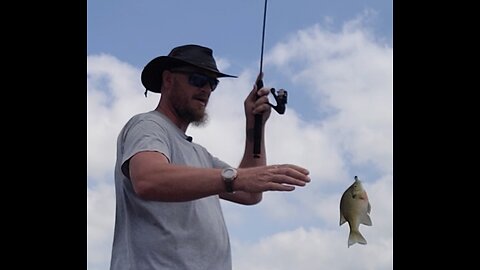 Testing the Z-man Shad FryZ
