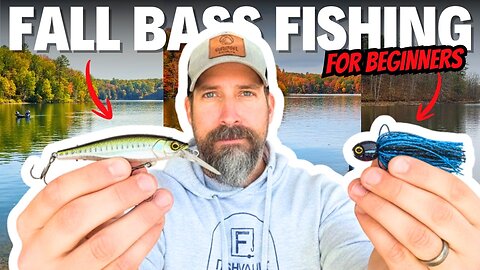 Fall Bass Fishing for Beginners - *Best Baits Month by Month*