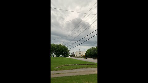 Could use some help identifying these skies am I in danger? Should I be worried?