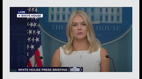 Karoline Leavitt annihilates MSM over FALSE coverage of Trump meeting with Putin