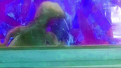 Godzilla Before The Radiation Leak Sipping ☢️