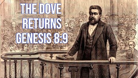 Spurgeon's Sermons | The Dove Returns | Genesis 8:9