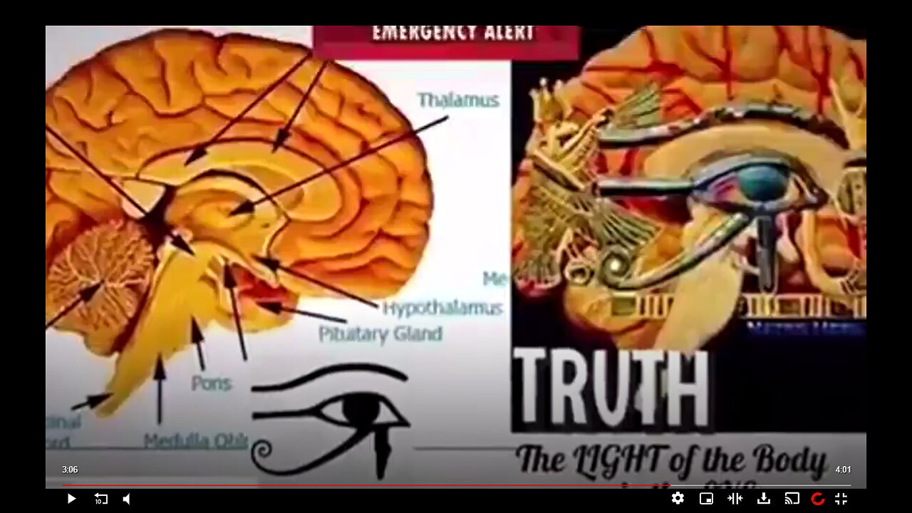 BLACK EYE CLUB The Eye Of Horus PAMJONESFORLIBERTY