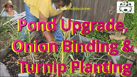 Pond Upgrade, Onion Binding & Turnip Planting - #catshobbycorner #gardening