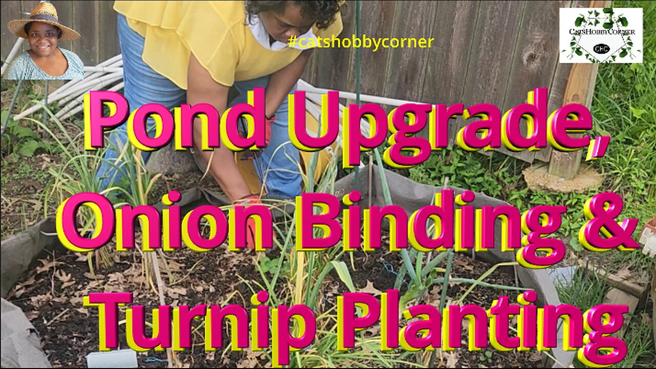 Pond Upgrade, Onion Binding & Turnip Planting - #catshobbycorner #gardening