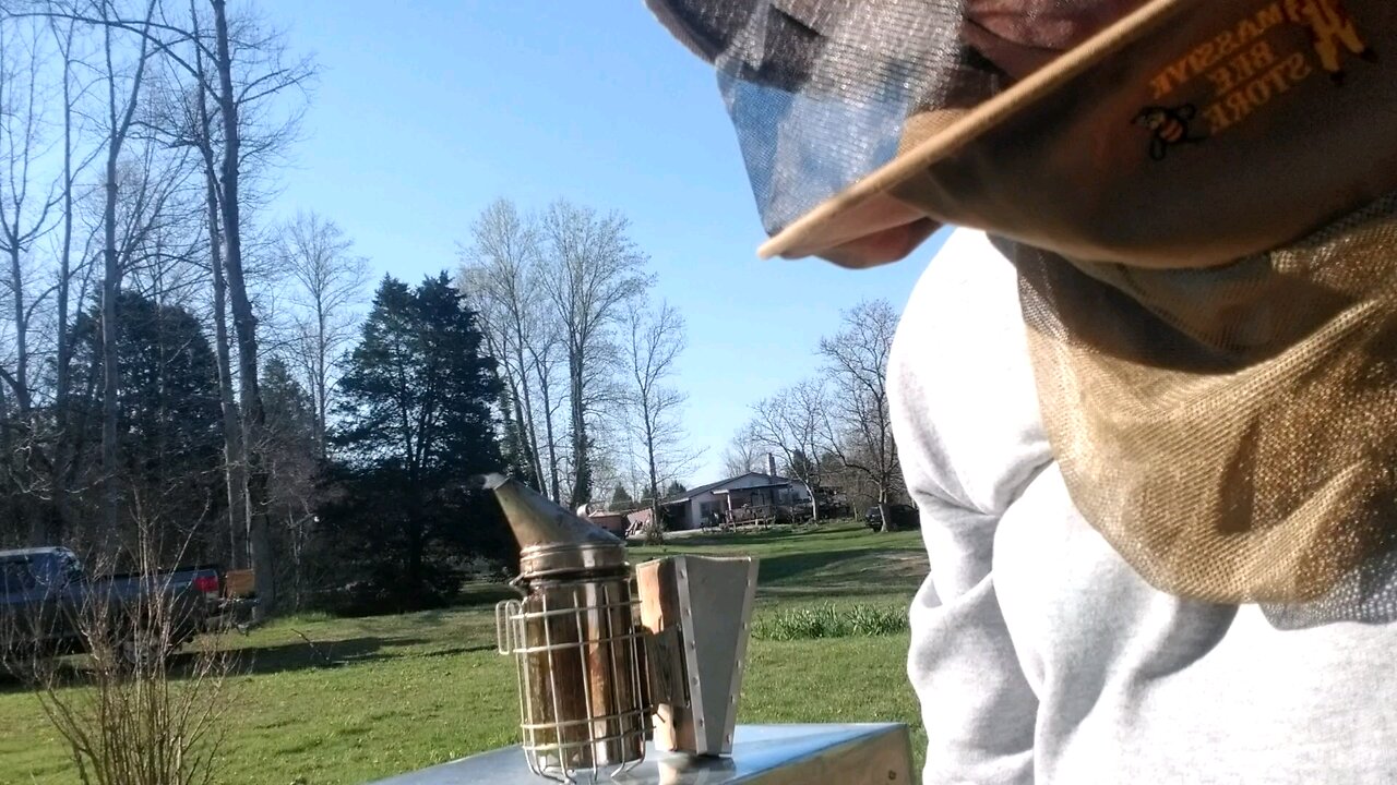 splitting my number 3 Layens hive 4.12.25